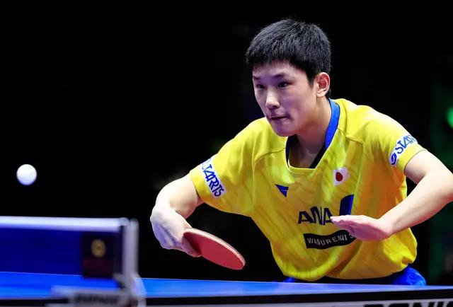 波尔为啥欣赏张本智和，原因在这里！