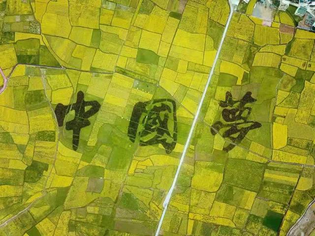 我在青岛西海岸,现在在青岛西海岸干什么工作赚钱