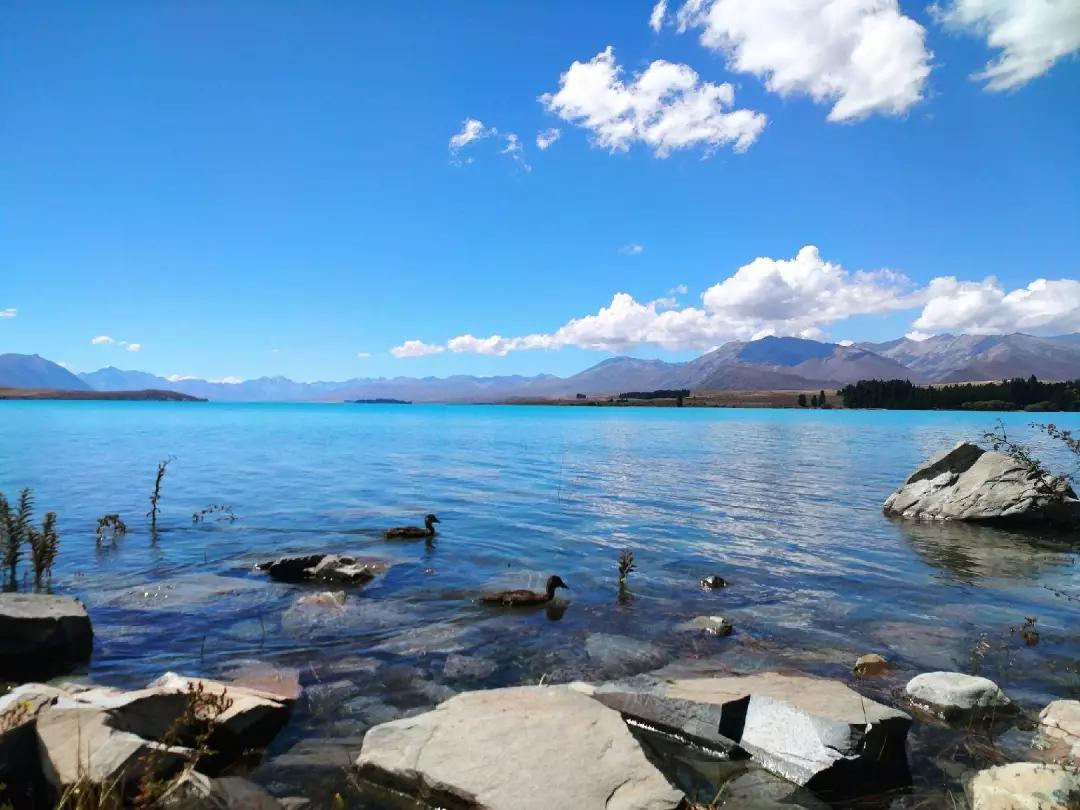 新西兰南太平洋明珠,新西兰太平洋的明珠