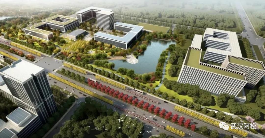 厉害了大湾区,厉害了大中国