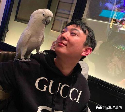 王思聪斥重金买鸭,王思聪自曝斥重金买鸭