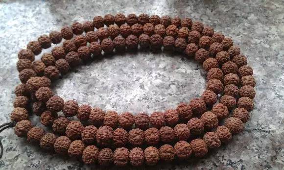 小金刚菩提最终是怎么样的,小金刚菩提子怎么看是真是假