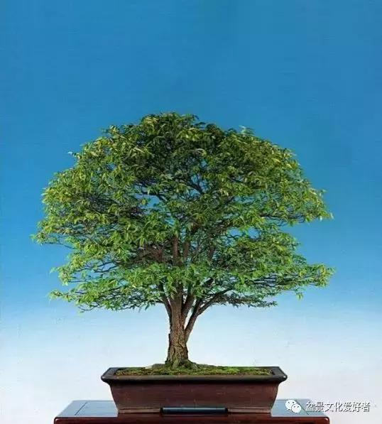 他山之石可以攻玉诗句,他山之石可以攻玉的作品