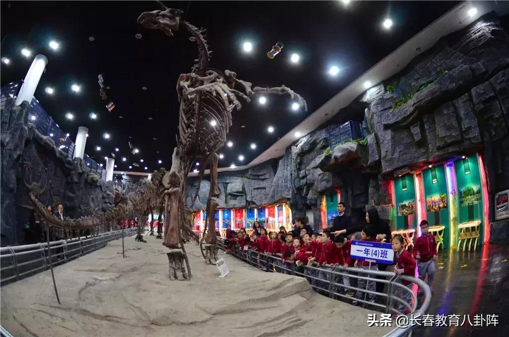 东师教师招聘,2019年东安县招聘老师