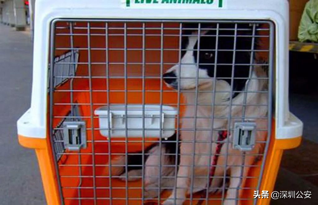 #*子骗**的游戏#（第一季02）买买买买