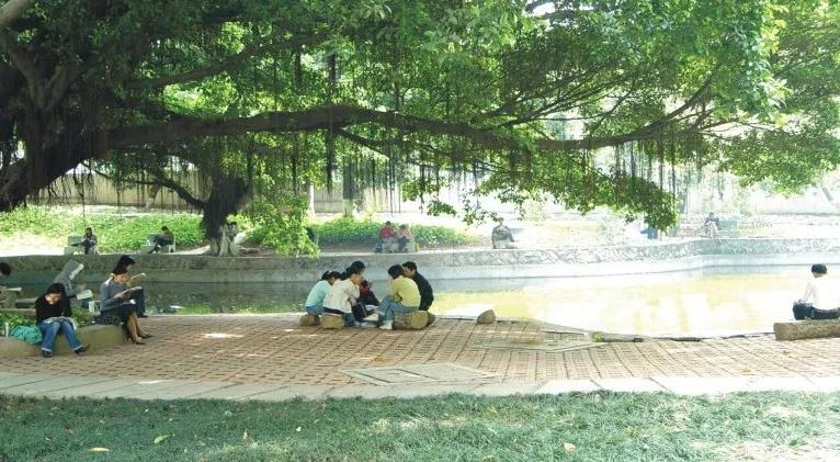 广东第二师范学院数学系,广东第二师范学院分数线