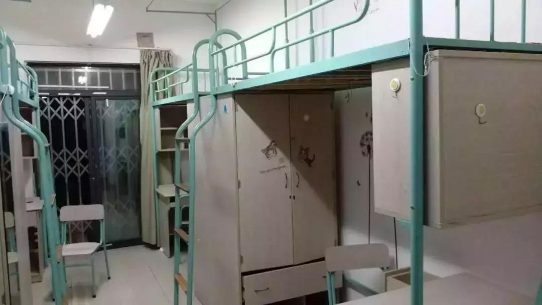 老灵额是什么,上海海洋大学参观攻略