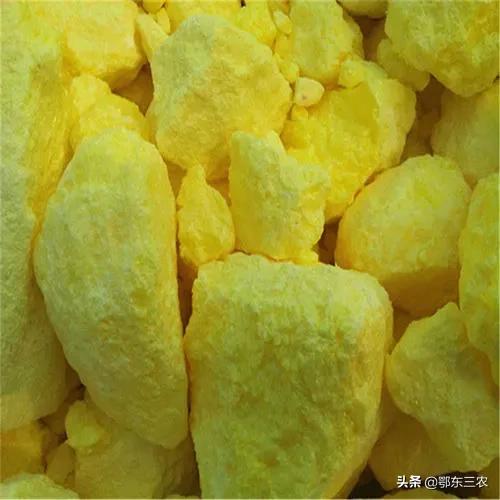 蛇进家里怎么驱赶,农村房子有蛇怎么驱赶