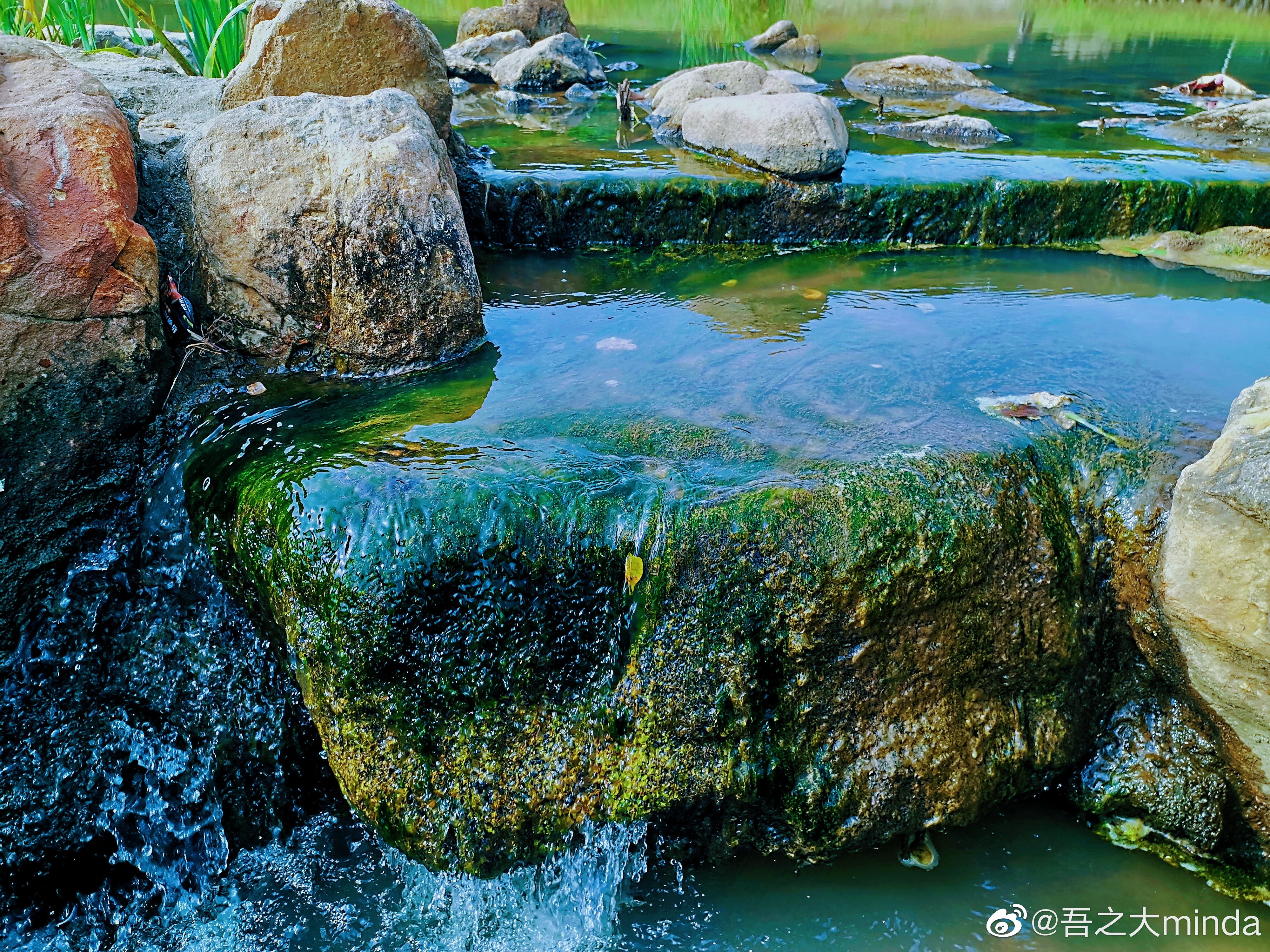 梧桐山下幽径,梧桐山下清风明月