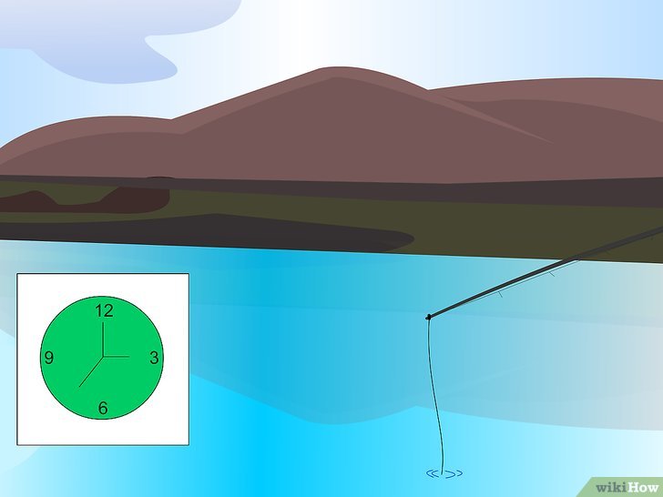 野外钓鱼的技巧和方法,蚯蚓加蜂蜜钓鱼的正确方法