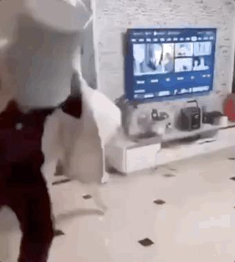 宅家无聊自嗨起来,宅家自娱自乐大赛