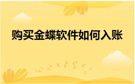 购买金蝶软件如何入账,企业购买金蝶软件会计怎么入账