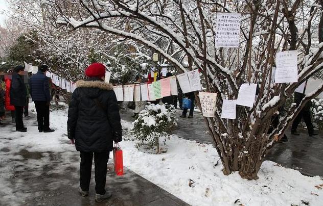 面对父母逼婚,父母让我去相亲如果不去会怎么样