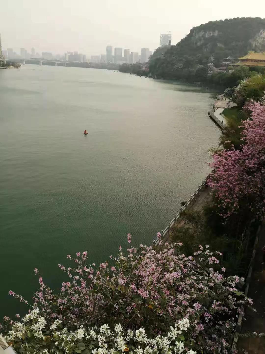 柳州印象,柳州初见酒店