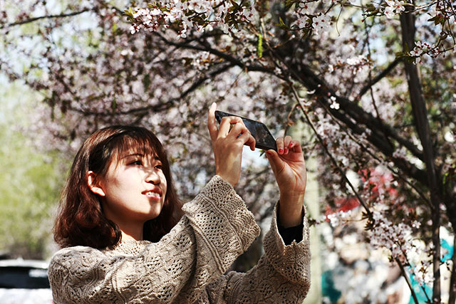 安国医院：寻常好景时时有，人间最美三月天。