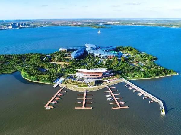 上海的大海河流,上海的大海边