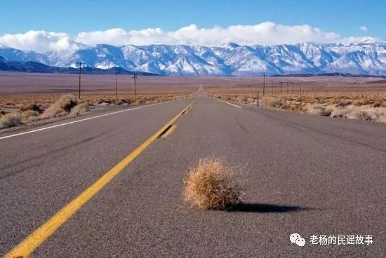 隔壁老王的日常生活全集,隔壁老王家的日常生活