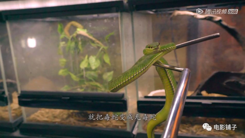 如此「变态」的欲望,这届有钱人真猛