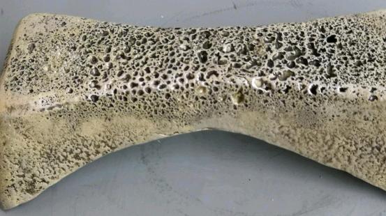 原创丨极为罕见的明朝蕲水县解正德七年分折禄米银亚腰形元宝