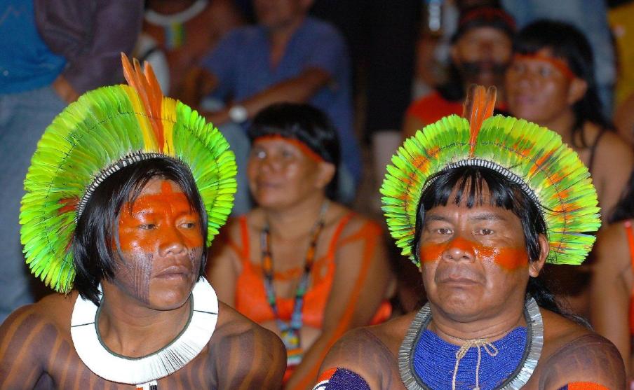 亚马逊雨林十大恐怖动物,亚马逊雨林的十大恐怖生物