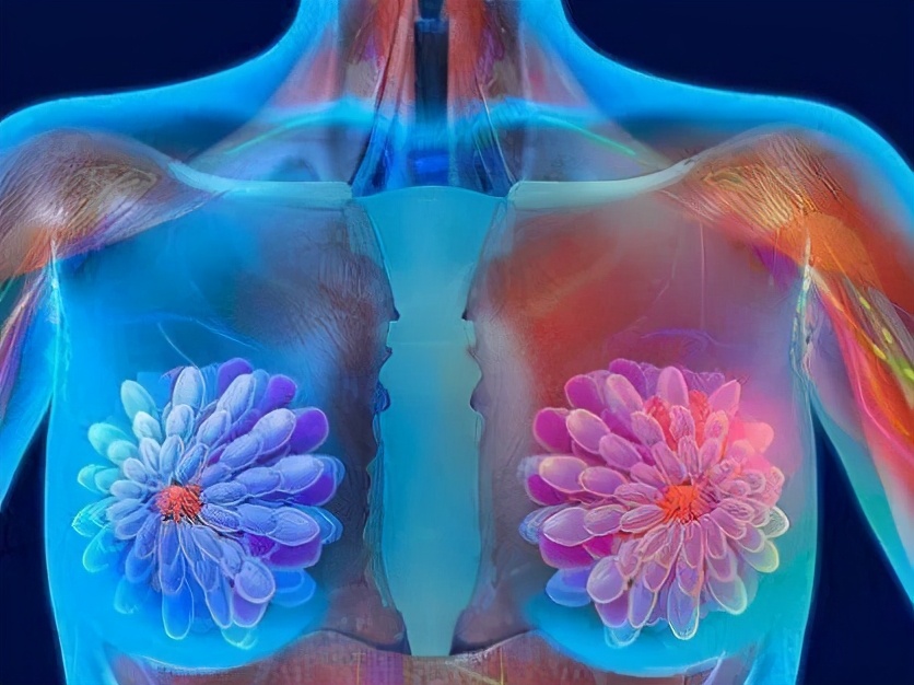 福临门大豆油和元宝牌哪个油炸好,金龙鱼精炼一级大豆油适合油炸不