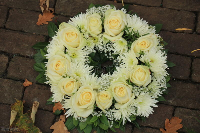 半夜醒来发现床上有一条小蛇,晚上看到一条蛇小说