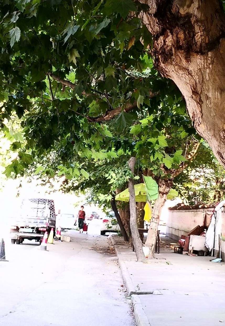 童年的时光还在马背上歌词,童年的时光