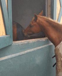 少林功夫搞笑视频老电影,少林功夫停车gif