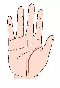 手相解密,手相掌纹分析学