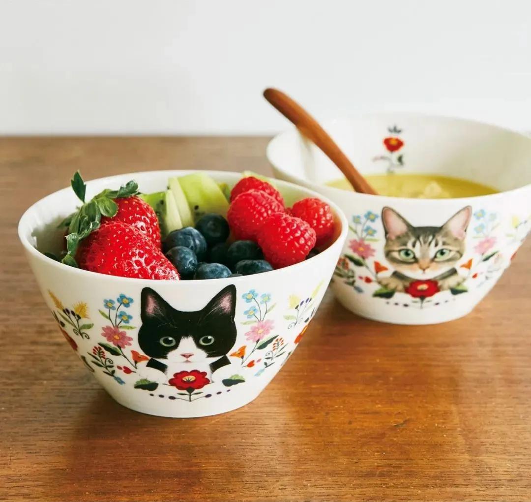 日本人又来骗猫奴们的钱啦!但我心甘情愿掏钱了!