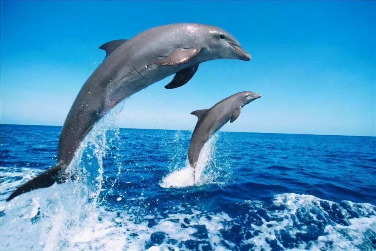 捡漏辱华品牌的明星,代言辱华品牌惹争议