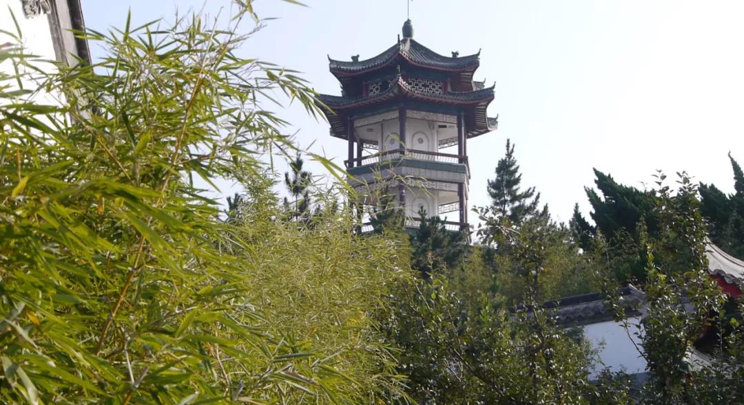 童年、大海、作家梦：冰心写作世界中的山东烟台