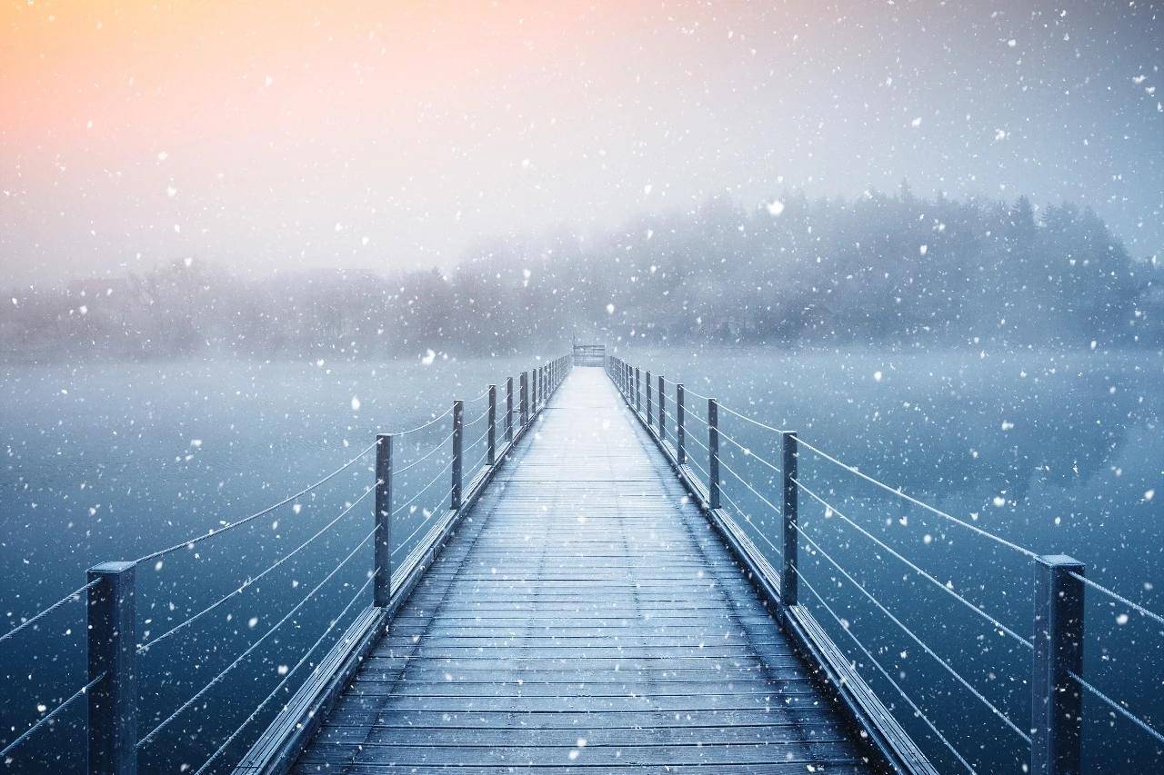 《藤野先生》《从百草园到三味书屋》：比较老师形象的异同