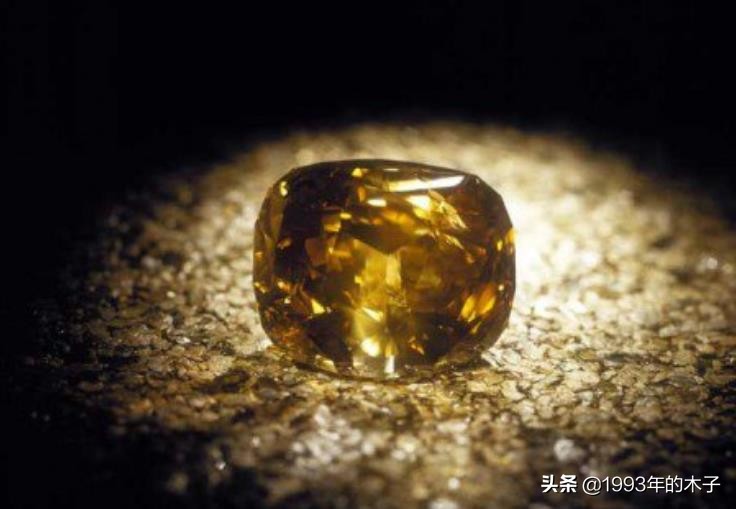 异装、纳妾、给宠物狗册封空军元帅，泰国国王究竟有多荒唐？