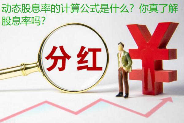股息率计算公式详解,什么是股息率计算公式