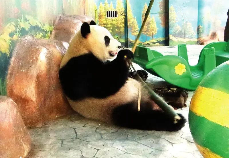 嗨森优惠团购,嗨森优惠套餐