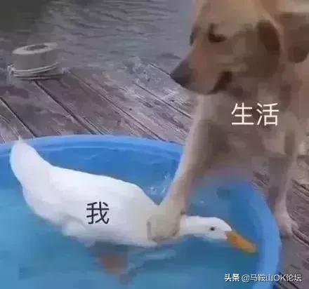 2023打工人最扎心的数据,扎心月薪1万与月薪10万的真实差距