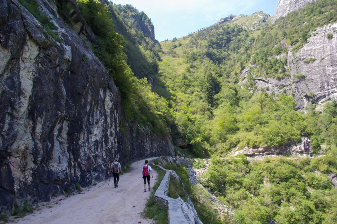 秦岭光头山至鹿角梁穿越路线,秦岭西观音山徒步登山路线攻略
