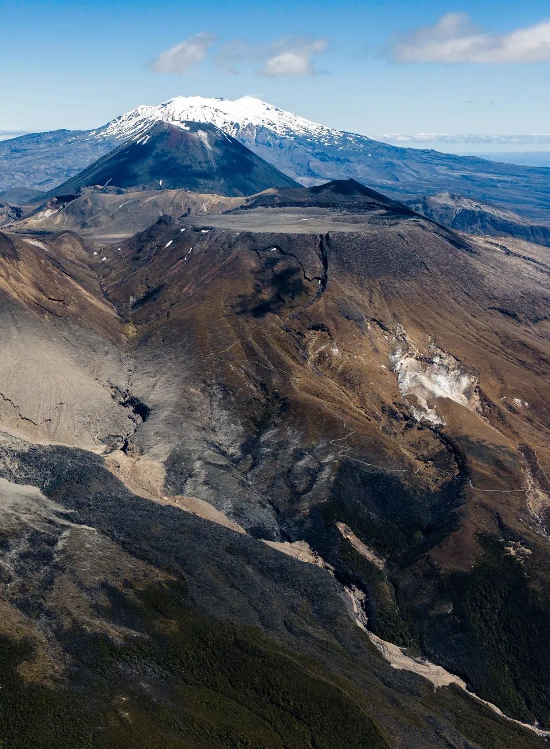 新西兰为什么那么发达,新西兰为什么这么牛