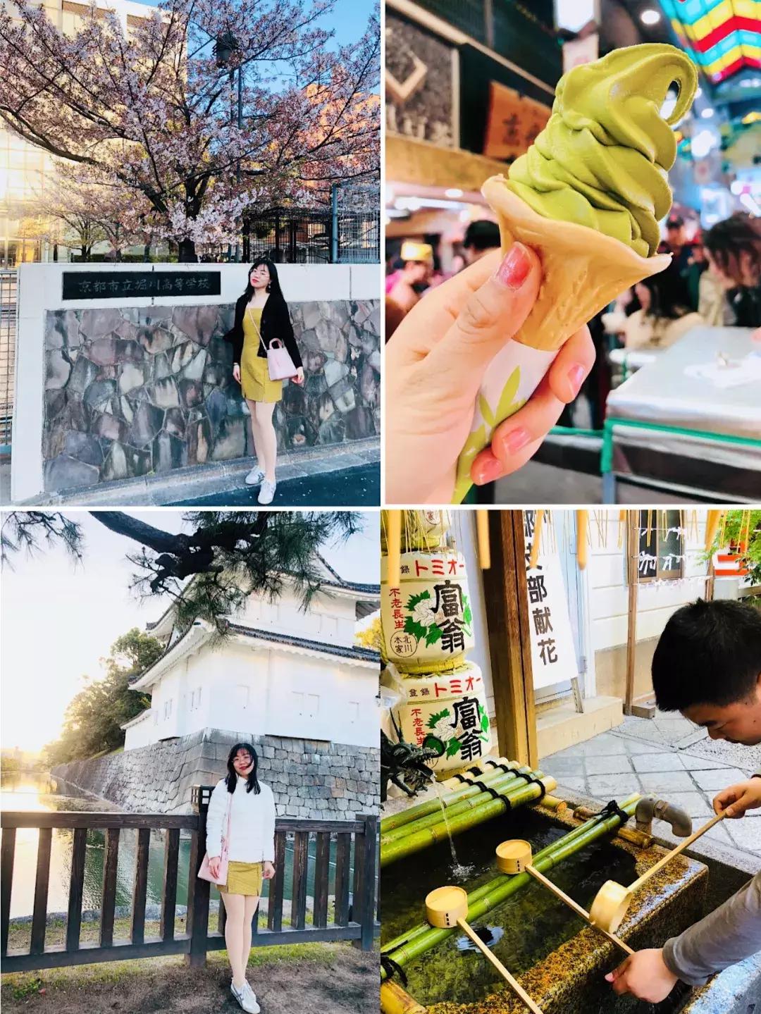 #Lili travel #日本樱花季之旅，畅游东京、京都、大阪！