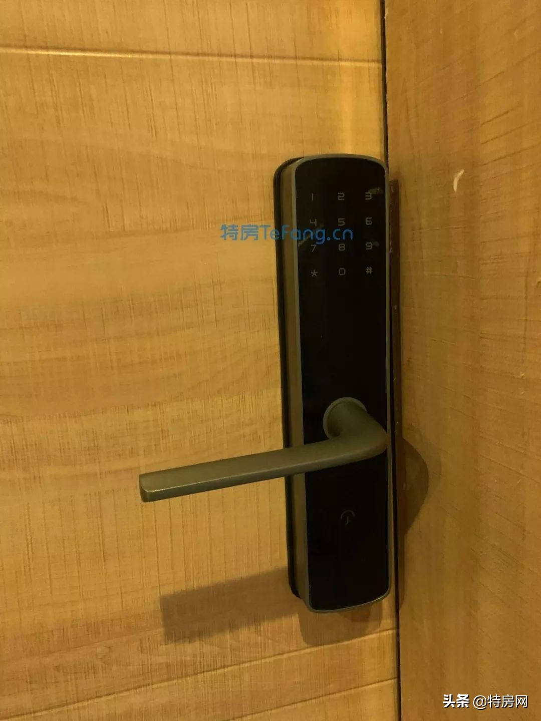 前海500米,地铁150米,买栋农民房当腾讯员工房东,太爽了