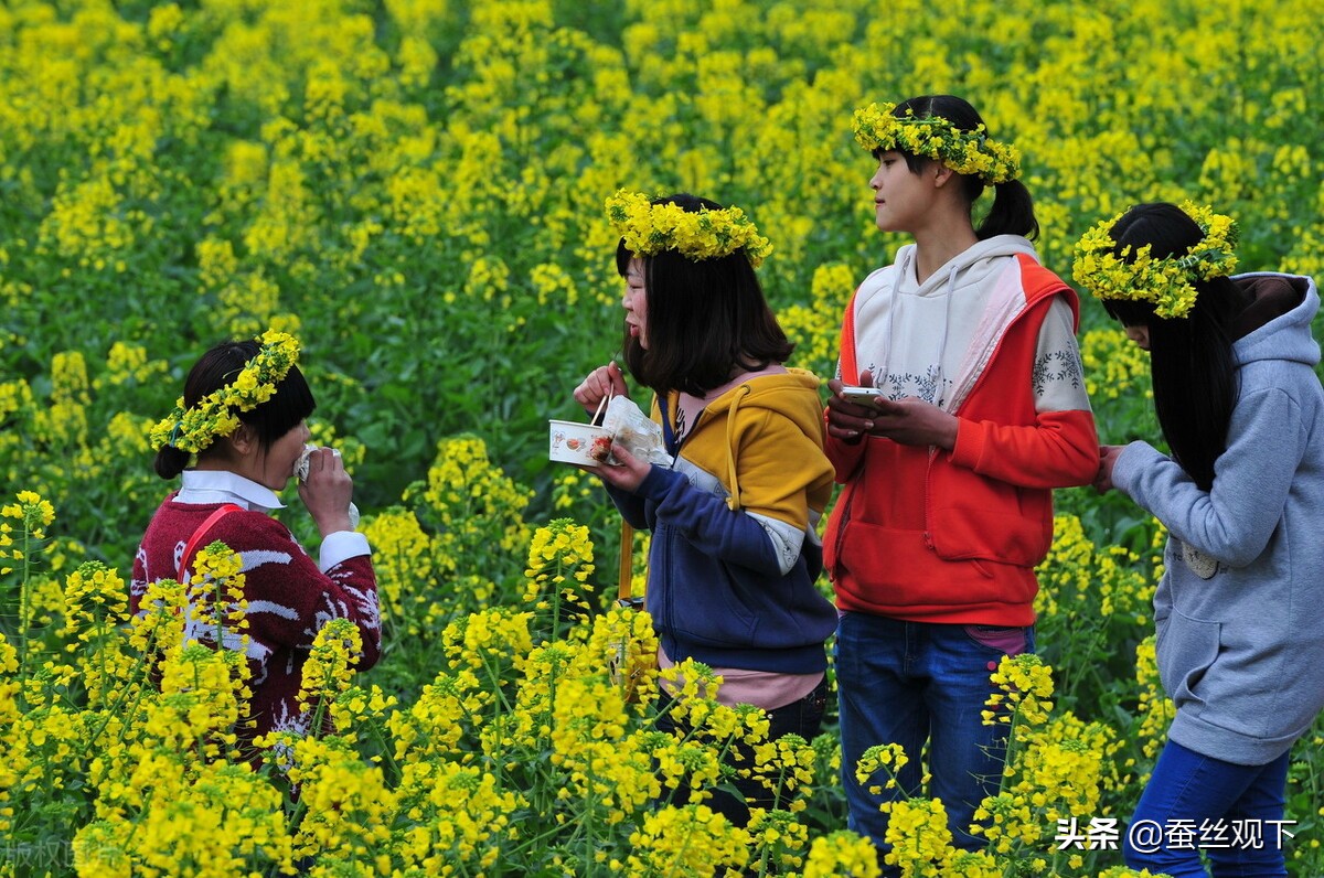 四川三台县最繁华的商业街,四川三台值得一看地方