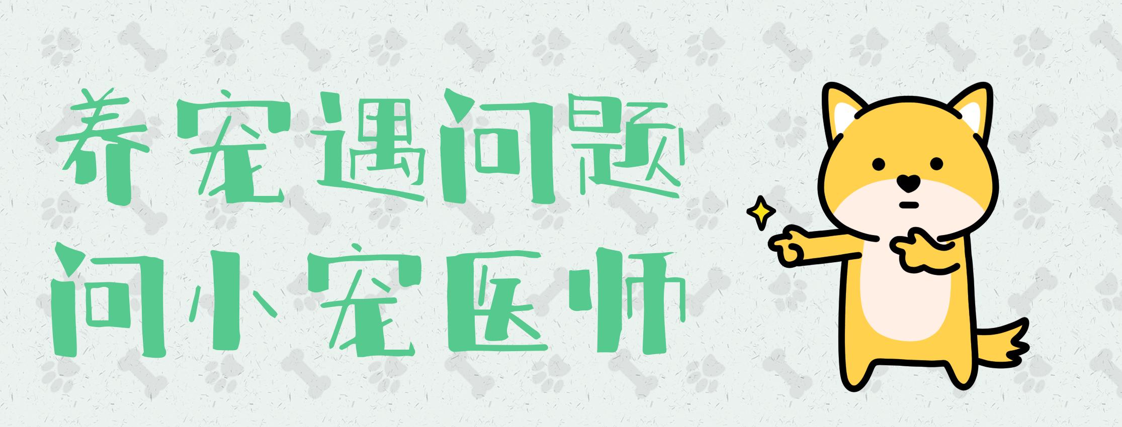 猫咪时不时的卡怎么办,猫咪总是拉软便