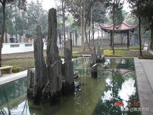 芜湖安师大皖江学院,安徽师大皖江学院转设为芜湖学院