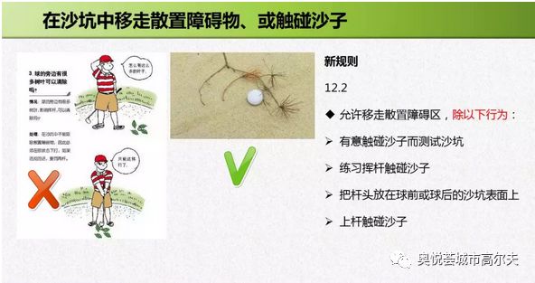 高尔夫球新规则挥杆动作,高尔夫球规则最新版书