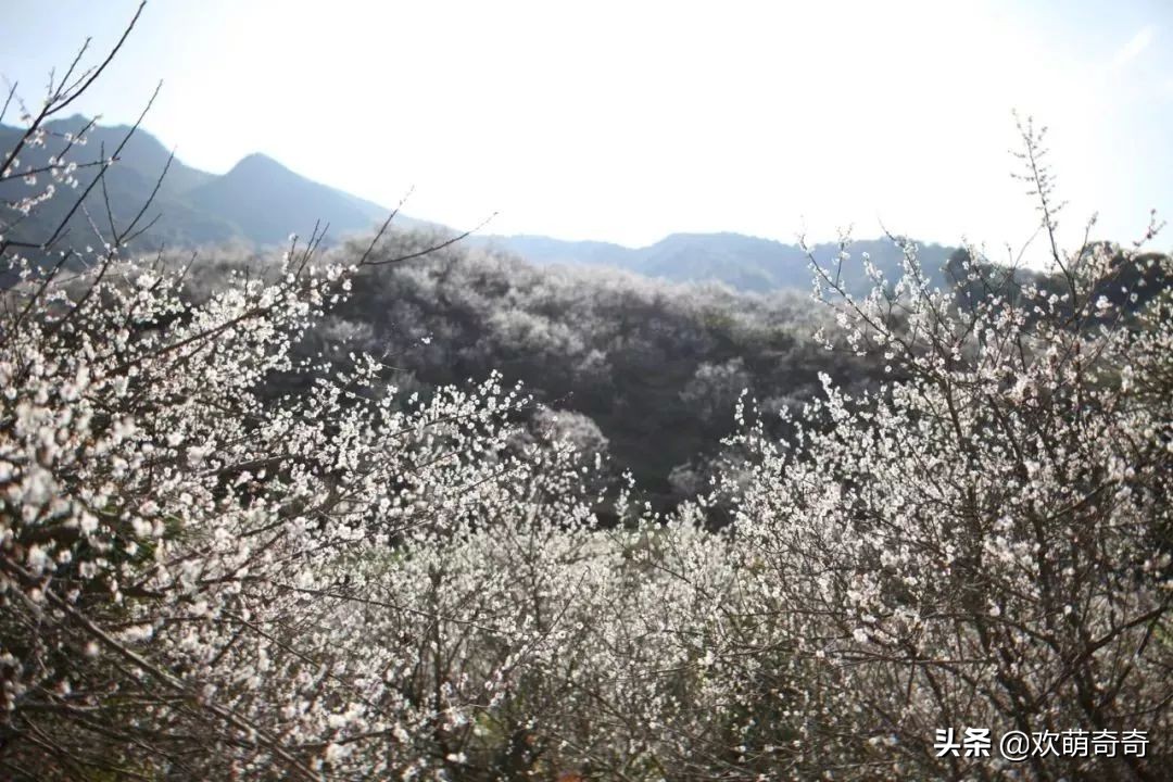 御水温泉陆河,御水湾温泉度假d区