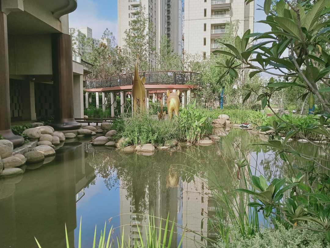 忆当初青春年少,再忆年少时已不再年少