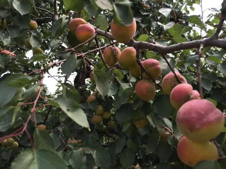 一大波美图即将来袭,一组美照来袭