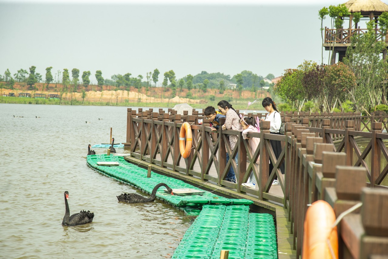 长沙洋沙湖,长沙洋湖附近游玩