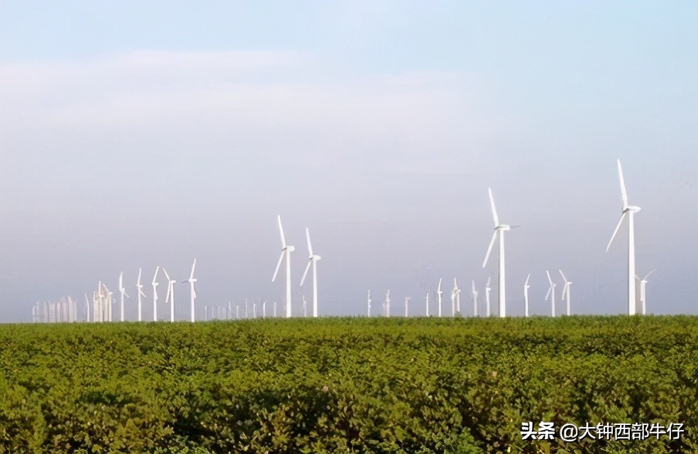 世界十大风力发电场,世界最大的风力发电站排名